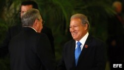 VII Cumbre de Jefes de Estado de la Asociación de Estados del Caribe 