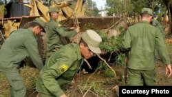 Brigadas de reclutas trabajan en la recogida de árboles. Foto CMHW.