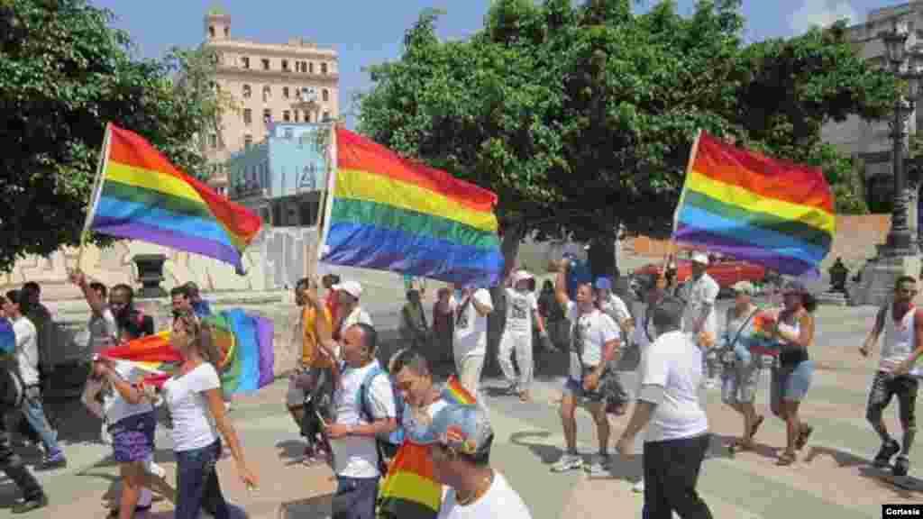 Paseo LGBT - Marcha gay en Cuba Foto/ Pedro Luis