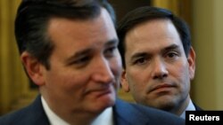Los senadores cubanoamericanos Ted Cruz y Marco Rubio. REUTERS/Kevin Lamarque