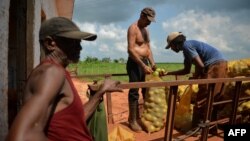 Campesinos cubanos
