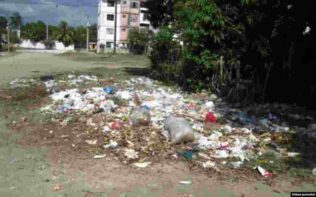 La calle Santa Rita entre 17 y 18 Norte en el Reparto Caribe en Guantánamo, es un área donde proliferan los vectores y la contaminación.