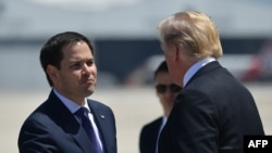 El presidente Donald Trump saluda al senador Marco Rubio en Miami. Foto Archivo