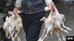 Un vendedor carga con varias gallinas sacrificadas hacia su puesto en un mercado de Furáng, en la provincia de Anhui, China.