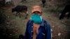 Un campesino vigila las vacas en una finca a las afueras de La Habana. (AP/Ramón Espinosa)