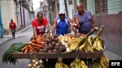 Cuantapropistas cubanos.