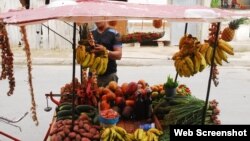 Los carretilleros, una popular forma de comercialización de productos del agro en Cuba, han estado desde hace meses en la mira del gobierno.