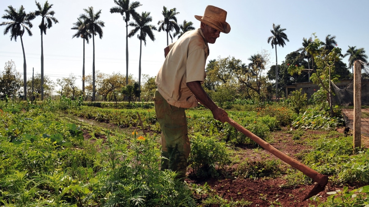 Cuba: ¿la agricultura y el turismo al mismo nivel?