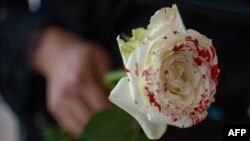 Una mujer sostiene una rosa ensangrentada en protesta contra los feminicidios.