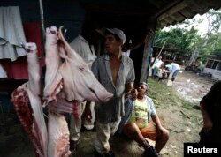 Campesinos venden carne de cerdo en una granja a las afueras de La Havana. (Archivo)